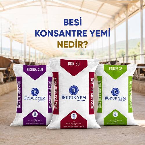 Besi Konsantre Yemi Nedir?